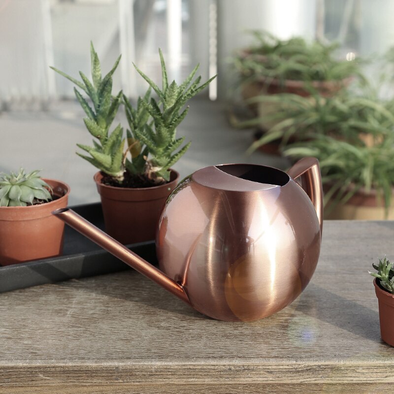 1L Stainless Steel Watering Pot Large Capacity Long Spout Watering Can Irrigation Garden Indoor Plants Garden Tool