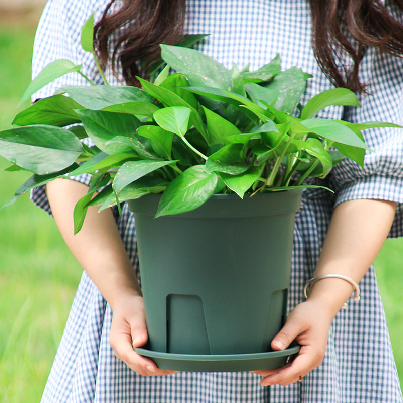 Green Mountain Pots Root Control Pots Plastic Flower Pots Clematis Planting Potted Drainage Root Rotten Root Nursery Gallon Pot