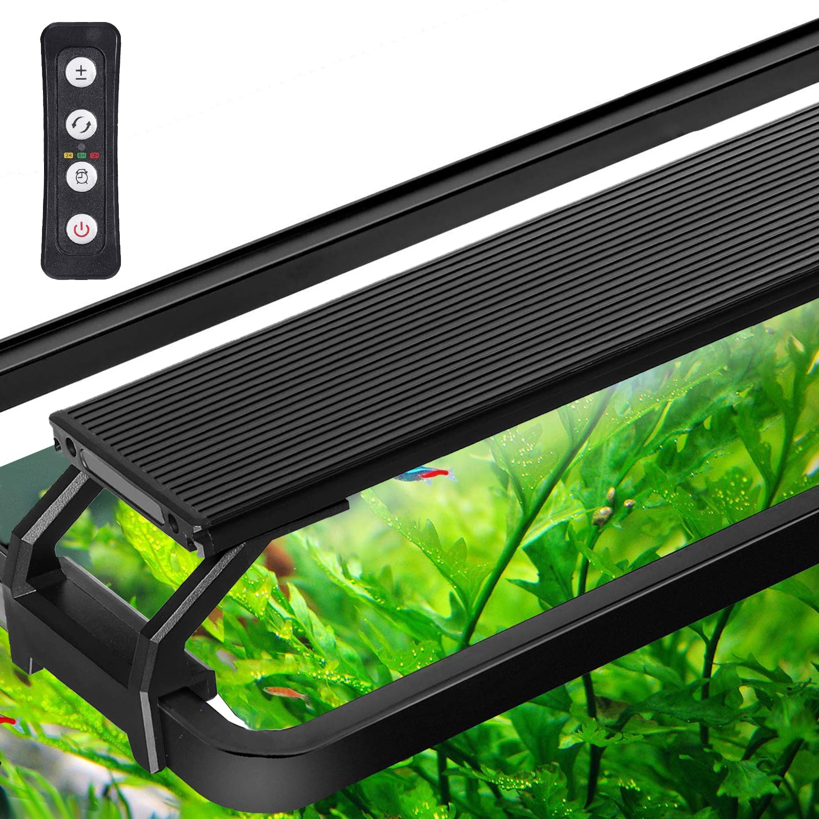 Aquarium Licht: Welches Beleuchtungssystem für mein Aquarium Aquarium Licht: Welches Beleuchtungssystem für mein Aquarium