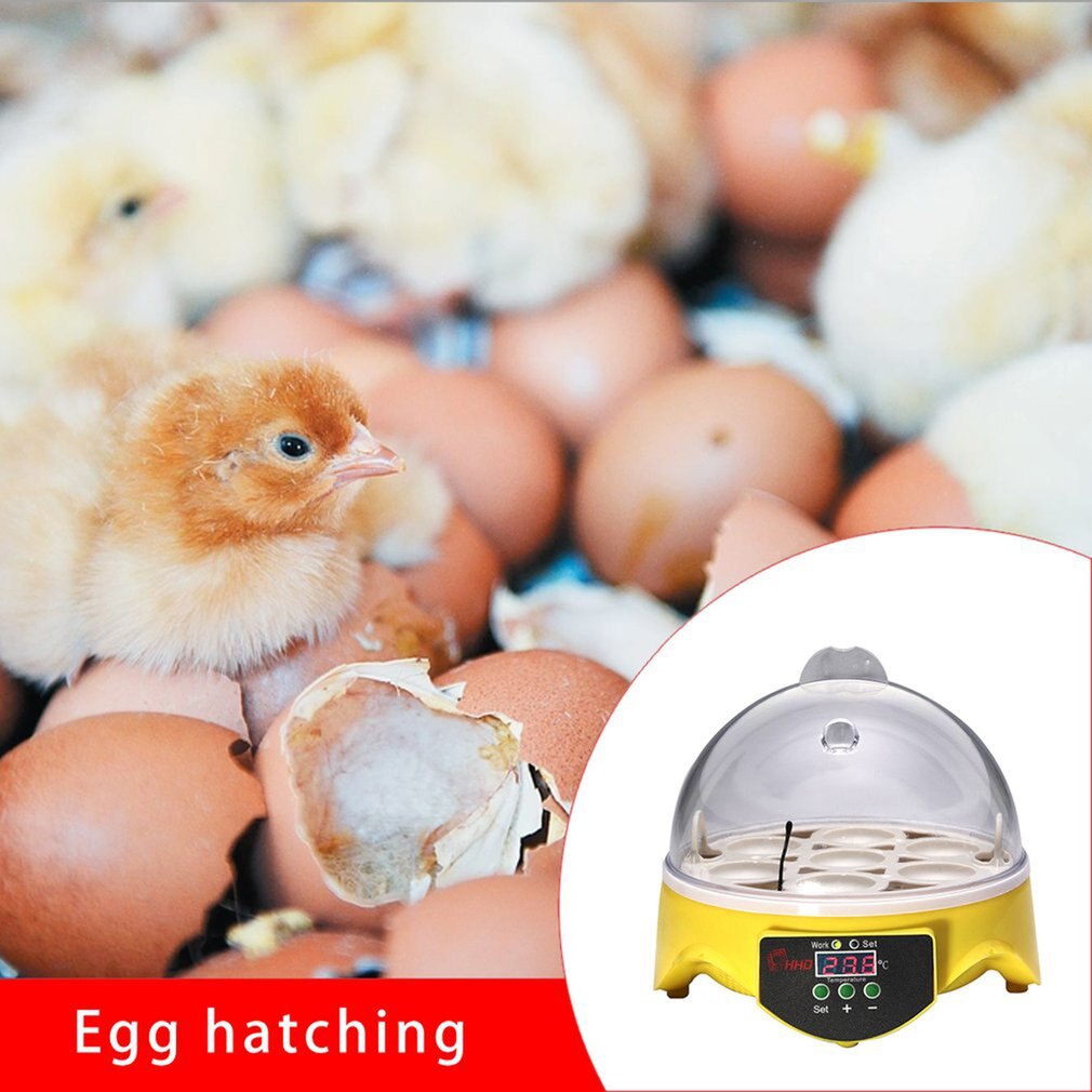 7 Egg Incubator Household Small Automatic Incubator Separate Egg Tray Smart Mini Incubator Incubation Equipment