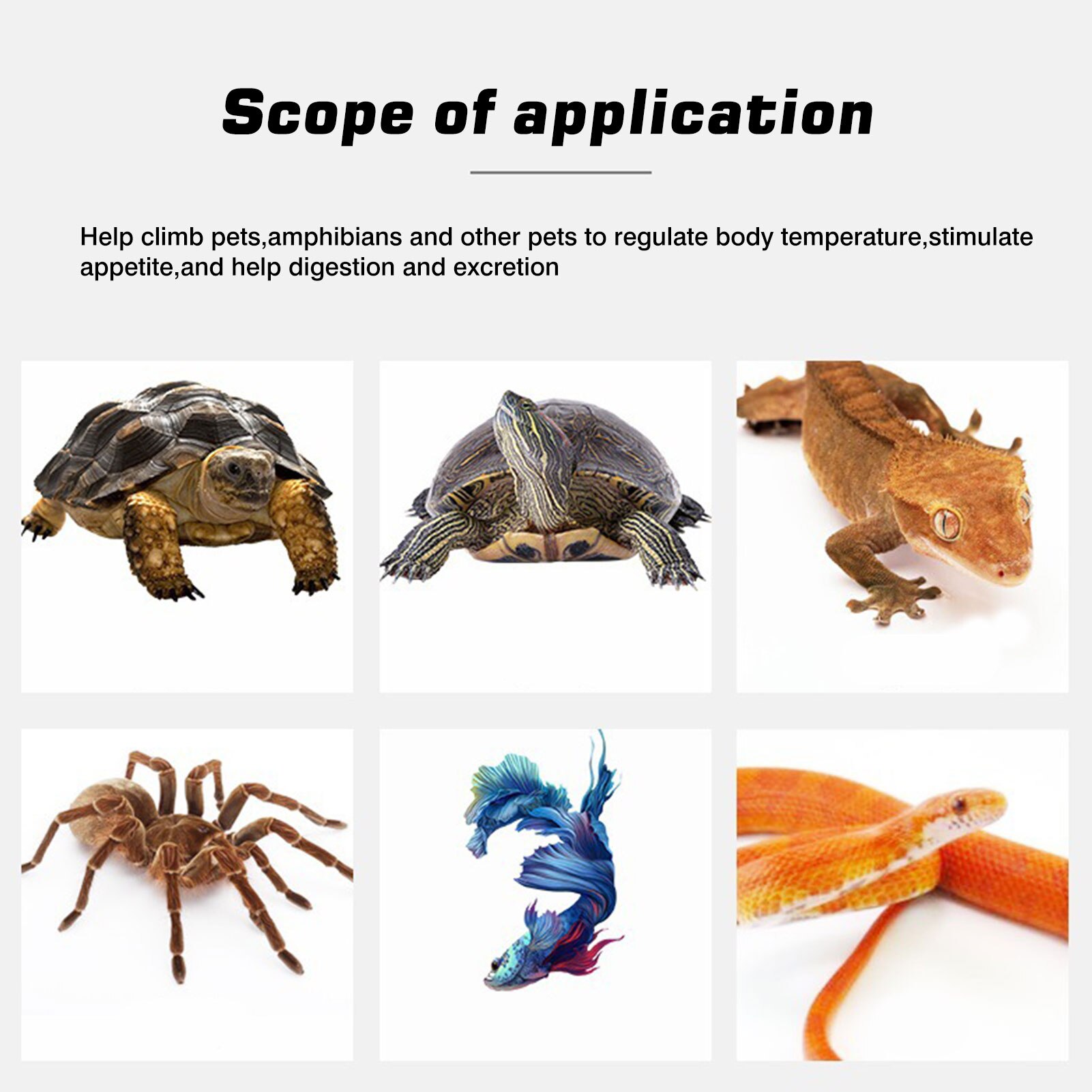 Tappetino riscaldante per rettili tappetino USB impermeabile cuscino per sedile terrario rettile lucertola rettile incubatore per tutti i tipi di animali domestici striscianti