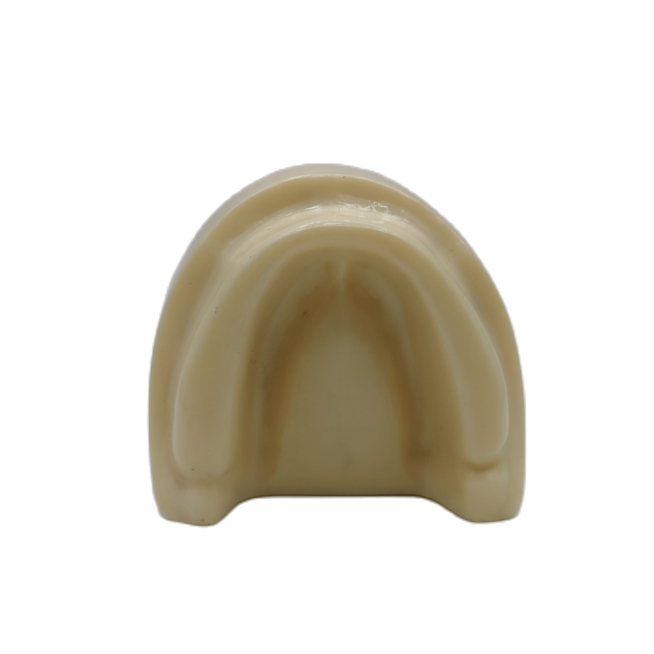 1PCS Dental Mandibular Demonstration Oral Model Implant Practice Maxillary Sinus Teaching Model Soft Gum Training Teeth model: R