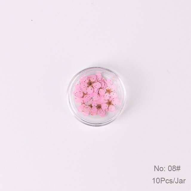 10 st  /1 box äkta nagelblommor gör-det-själv naturliga torkade blommor naglar konst dekoration torr flowe manikyr tillbehör blomdekaler: 08