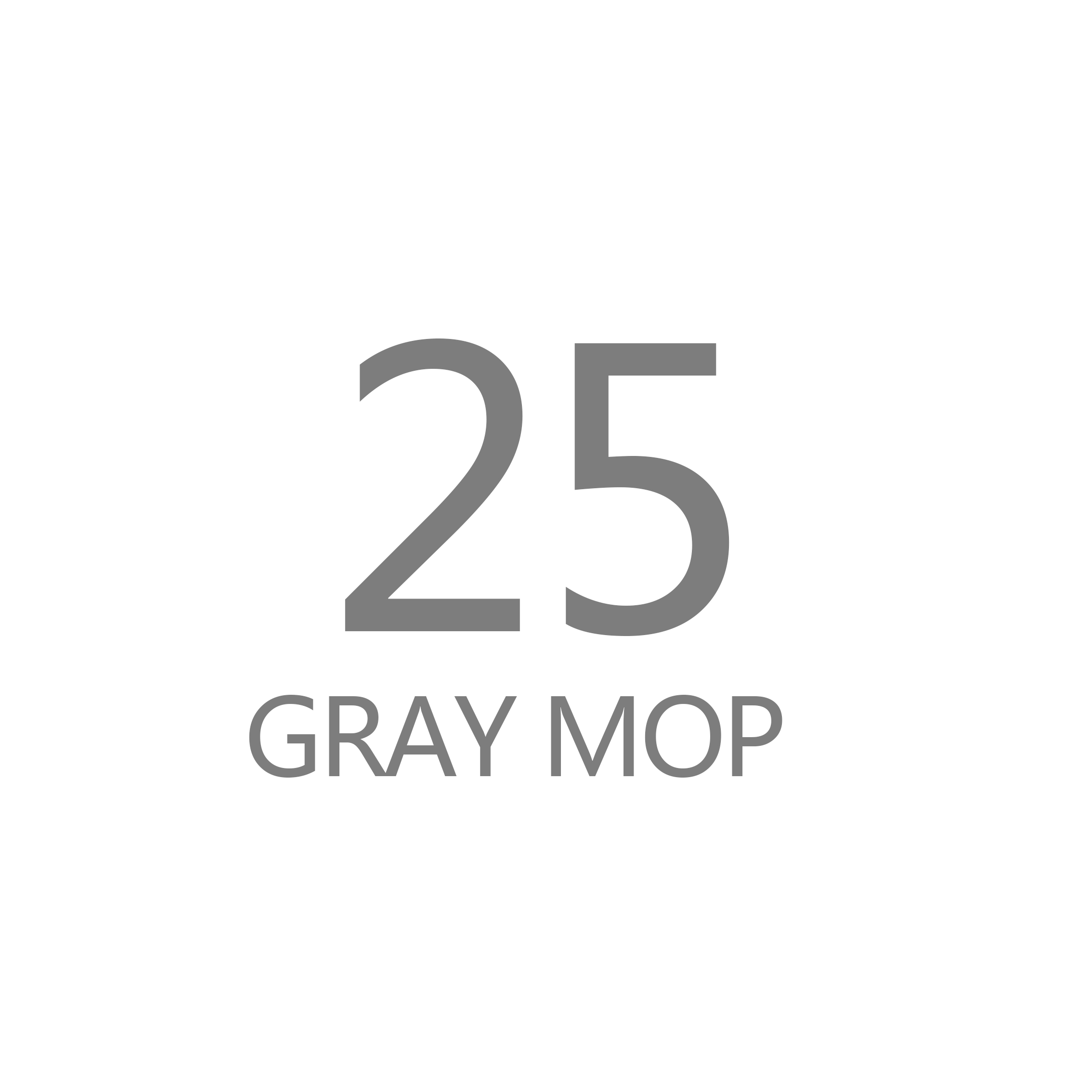 Magic Microfiber Cleaning Mops: 25  GRAY