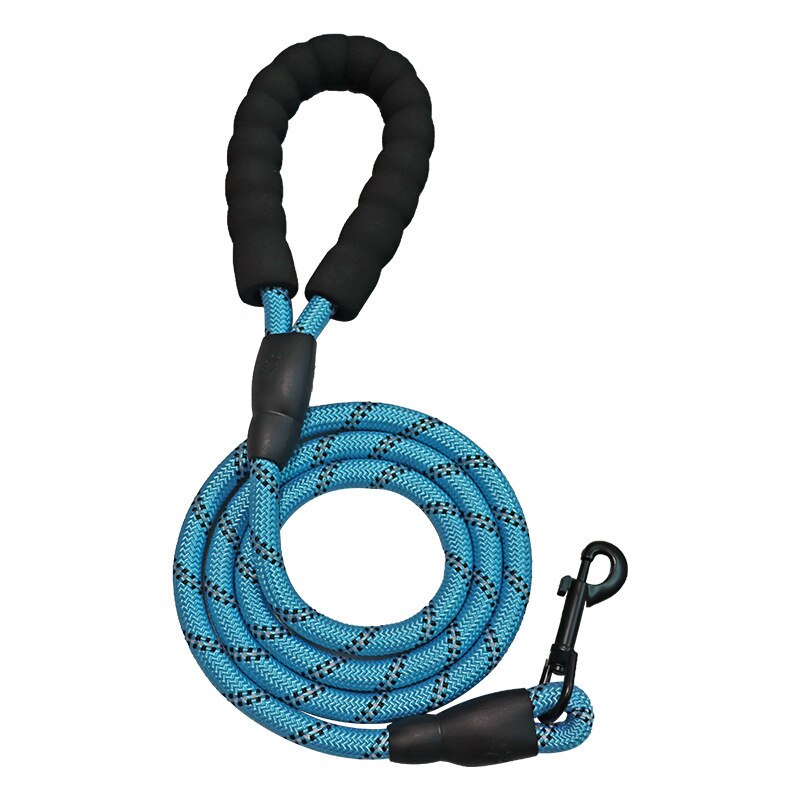 Corde de Traction en Nylon pour chien, laisse, sangle de rappel, longue ligne de plomb pour animaux de compagnie, idéale pour enseigner le Camping en arrière-cour: Bleu