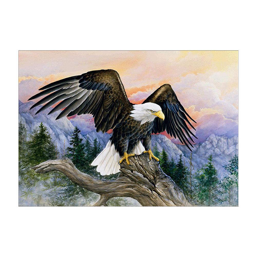 40x30cm Peacock 5D Diamond Painting Embroidery DIY Cross Stitch Craft Home Decor: Multicolor