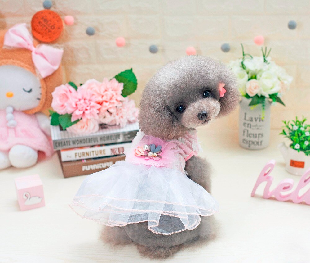 vestido de encaje para perros de compañía a la con estilo de Ballet de ensueño vestido para perros ropa para perros