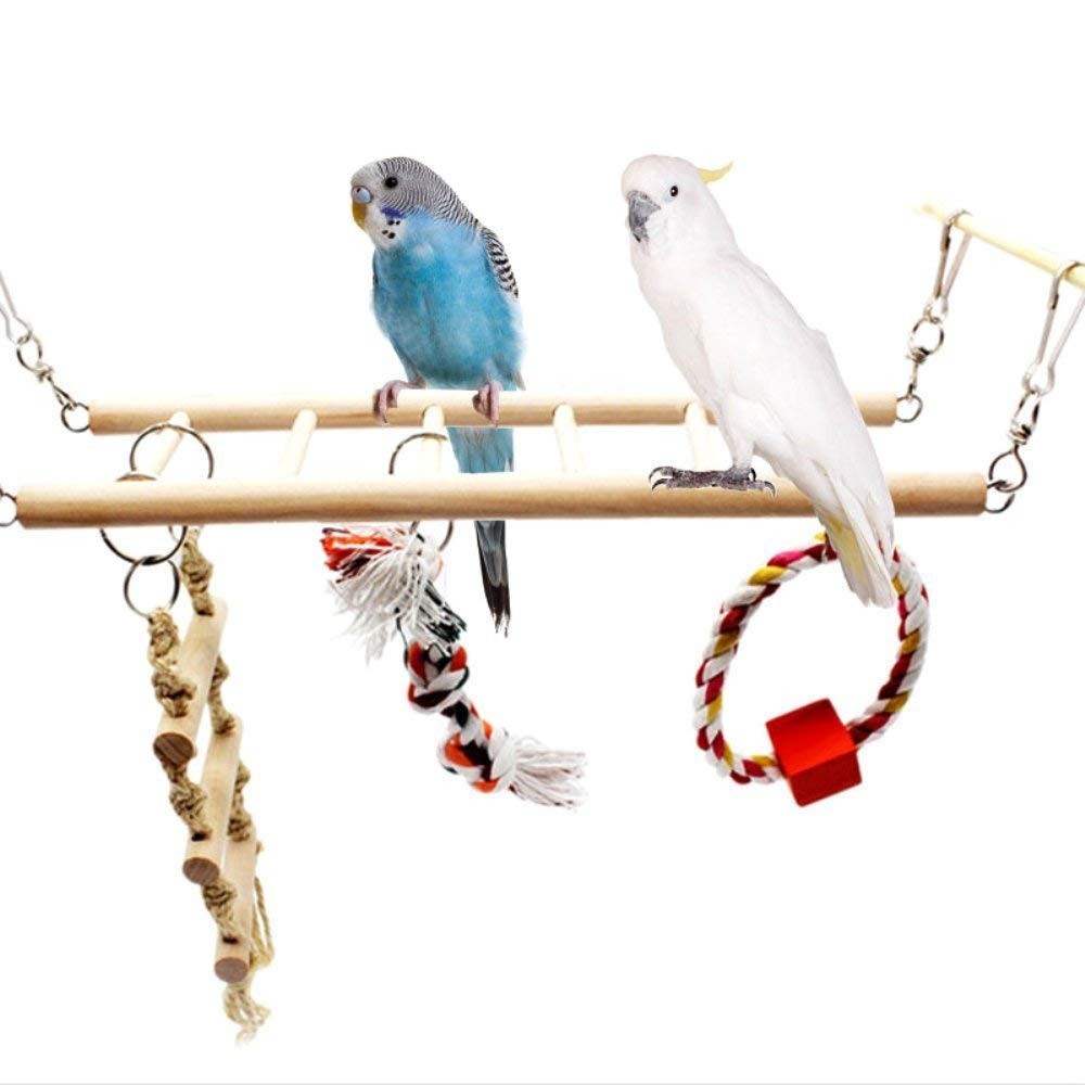 Fugl træ klatrestige papegøje farverig hængebro til parakit cockatiel conure kakadue undulat dværgpapegøje fink kanariefugl: B-klatrestige