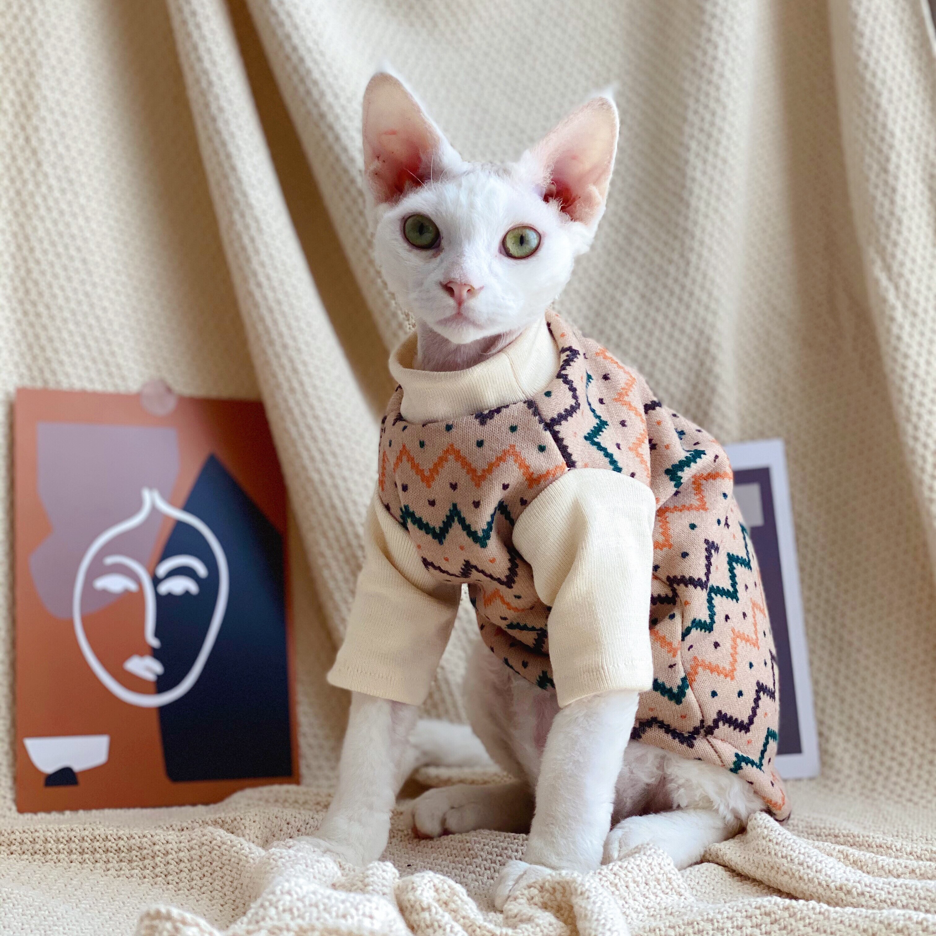 Ropa sin pelo para gatos, suéter de pierna corta para mascotas, abrigo de felpa de invierno, ropa para perros y gatos