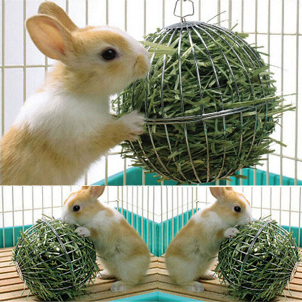 Hangende metalen bol voerbak oefen hangende hooibal cavia hamster konijn huisdier speelgoed