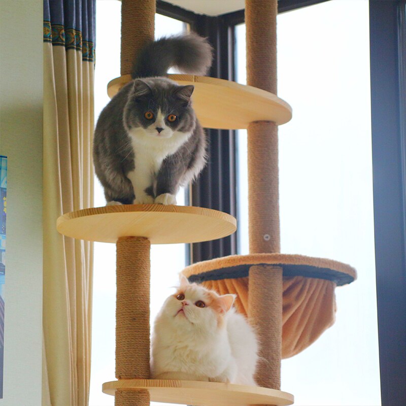 Tiragraffi per gatti in PVC per albero di gatto fai da te telaio da arrampicata per gatti sostituzione inviare corda di sisal impigliarsi gattino giocattolo graffiare arredamento