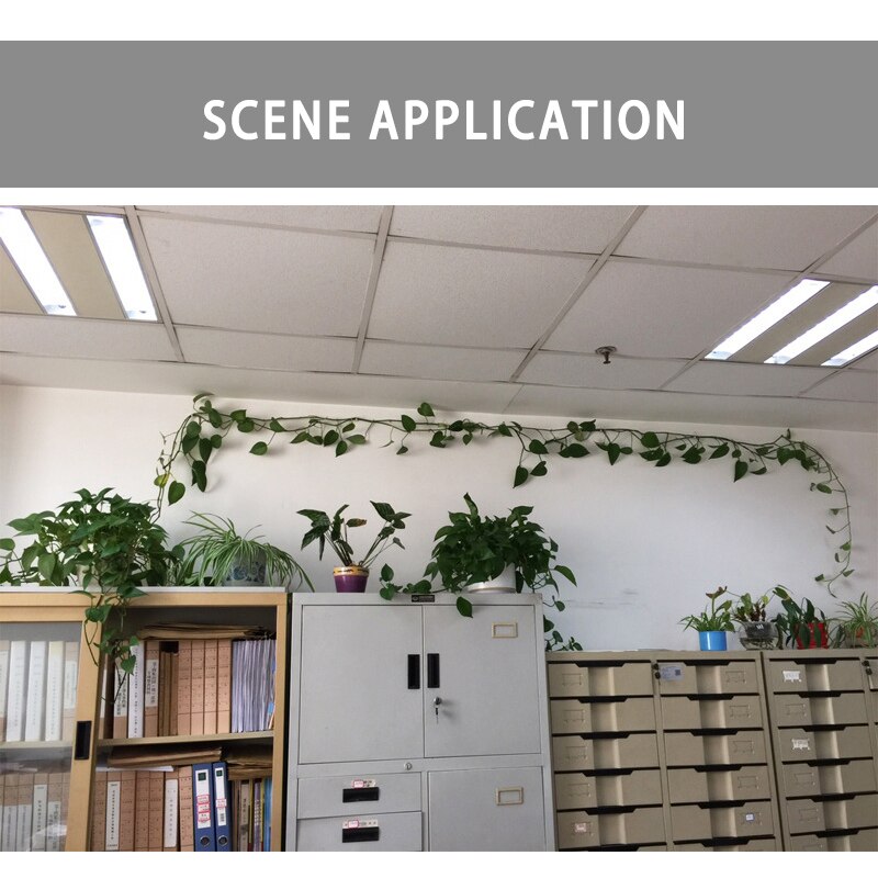 5/10 Pcs Home Garden Plant Wijnstokken Gebonden Gesp Vaste Sjorren Haak Agrarische Kas Groente Gadget Tuin Planten Tool