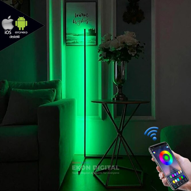 Decoratieve Telefoon Controlled-Remote Controlled Rgbled Lamp