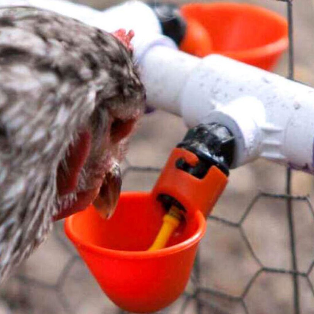 Bebedero agua automática para aves de corral, pollo, ave de corral bebedero agua para pollo, alimentador, cuenco de cocina, accesorio para mascotas, 10/24 Uds.