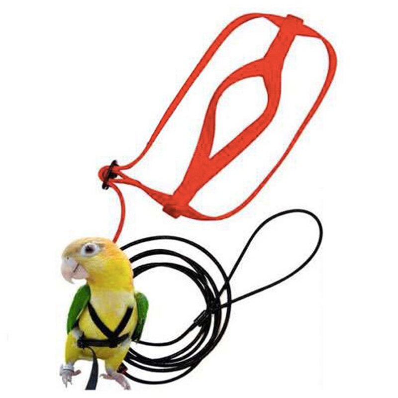 Pet Bird Harness En Leash Verstelbare Papegaai Bird Harness Leash-Pet Anti-Bite Training Touw Outdoor Flying Harness