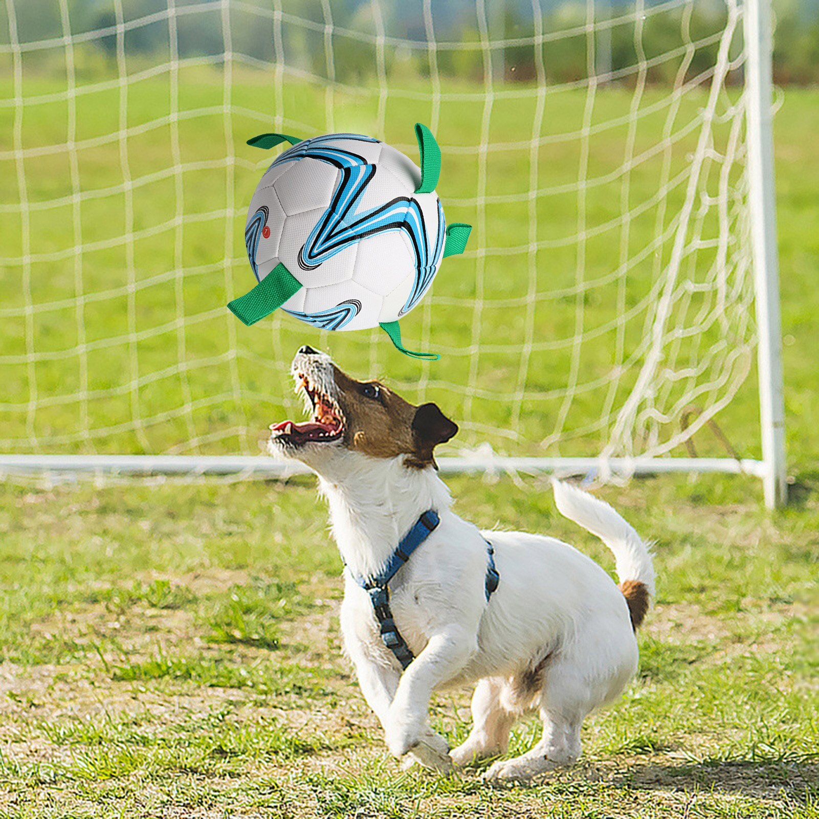 Hundespielzeug Fußball Aus Naturlatex – Quietschend, Weiß-rot, Für Hunde