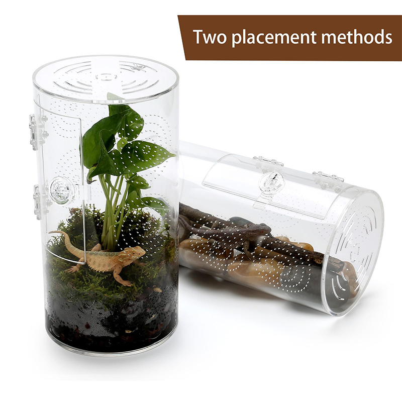 Insect Feeding Cage Spider Lizard Scorpion Arboreal Enclosure Case Acrylic Reptile Breeding Box Transparent Terrarium Habitat