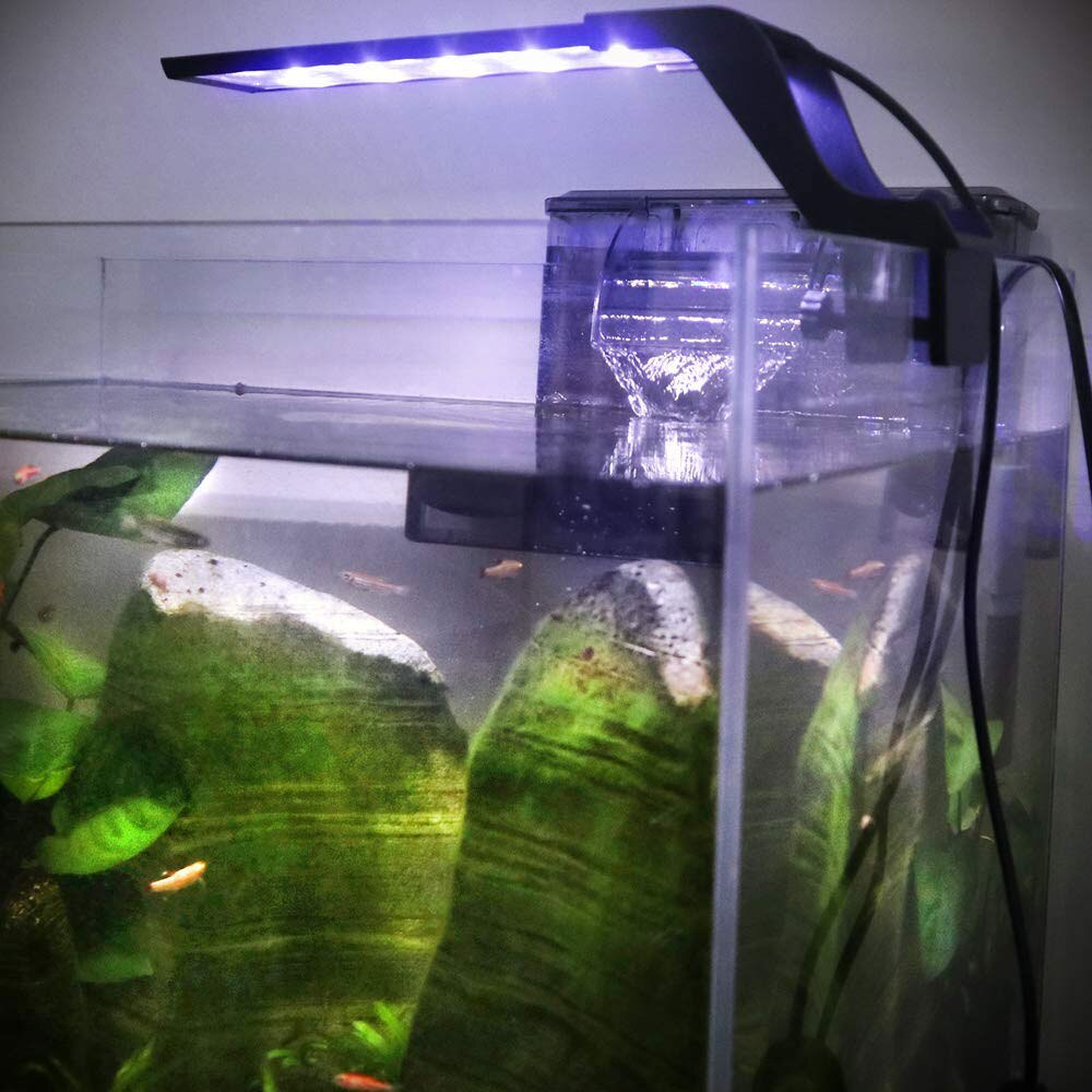 LED Aquarium Light Clip on Fish Tank Light with Extendable Bracket White and Blue LEDs Lamp Supply