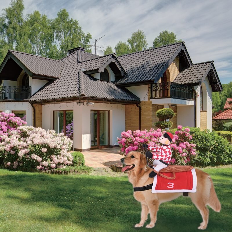 Halloween Funny Pet Dog Clothes Midlee Red Jockey Pet Costume For Dogs Puppy Horseman Jockey Cosplay Costume Pet Supplies