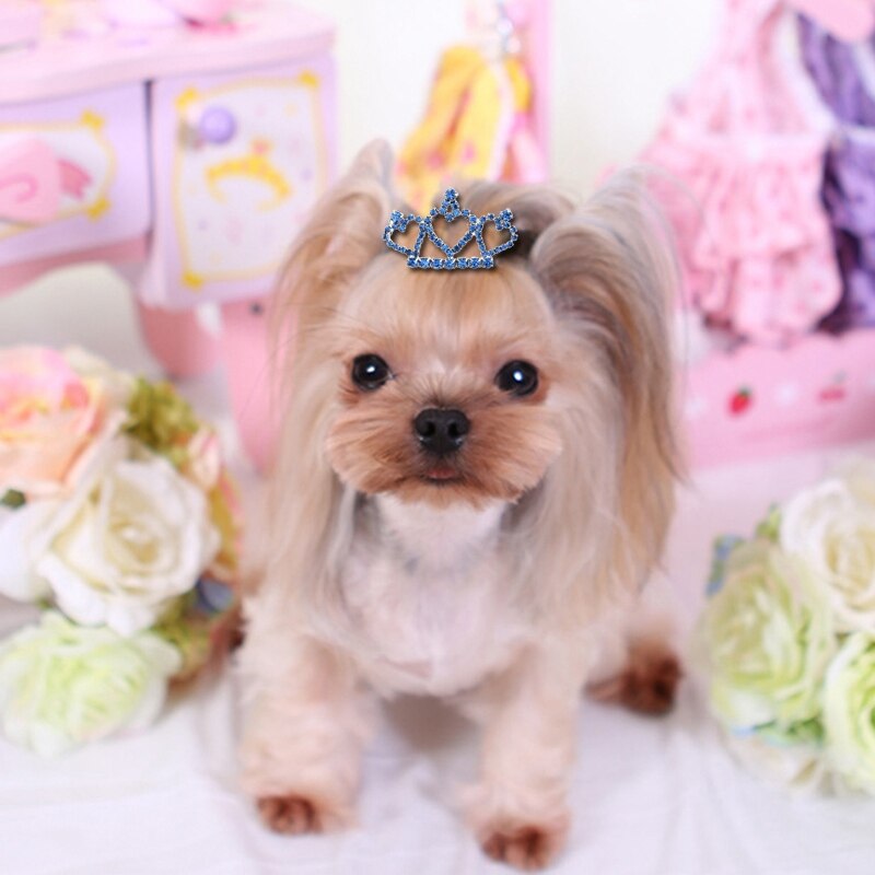 perro horquilla perro Accesorios para el pelo para mascotas cuidado pelo de perro para perros pequeños para mascotas de aleación de Clip de pelo del proveedor