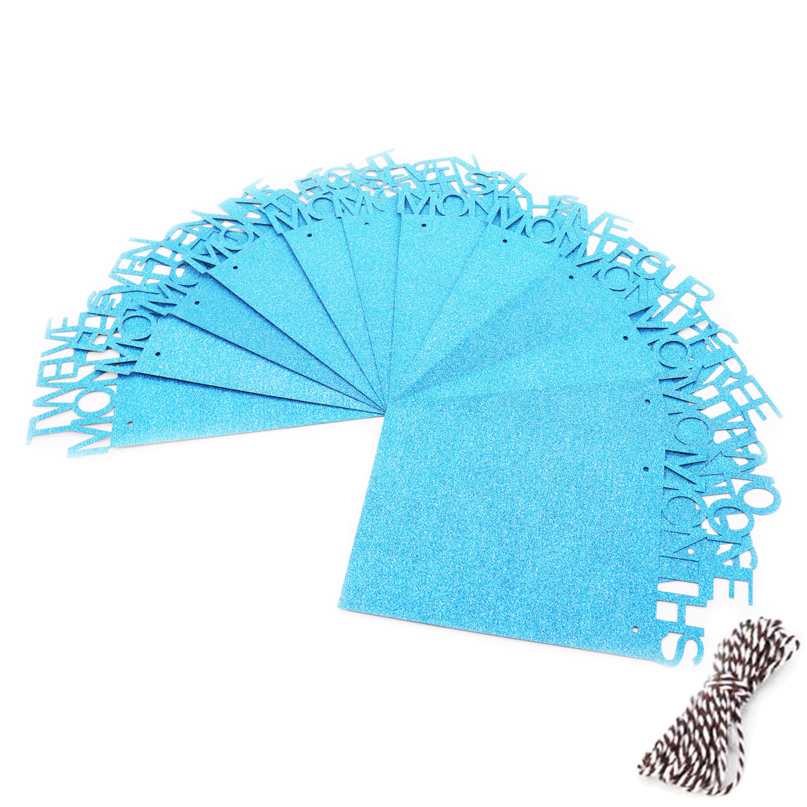 1-12 Month Baby Photo Frame Hanging Photo Banner Monthly Photo Wall Photo Frame for Baby Shower Birthday Party Home Decoration: Blue