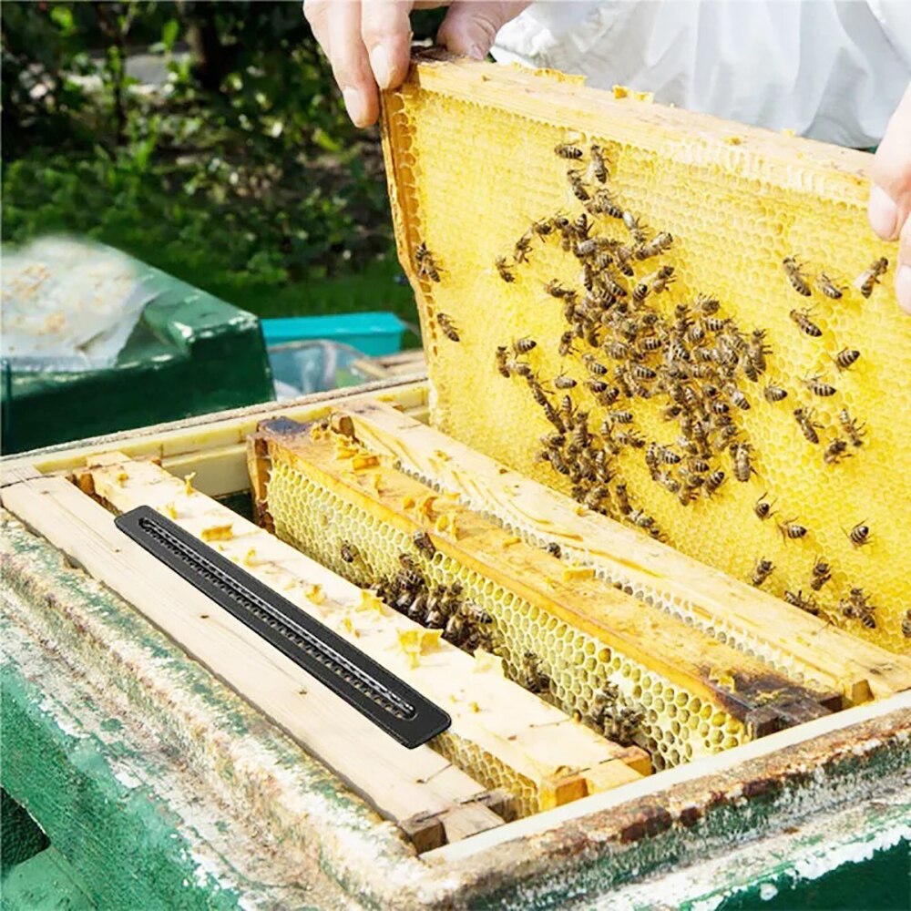 10Pcs Hive Beetles Traps Beetles Catcher Natural Beehive Pest Trapper Beekeeping Tools