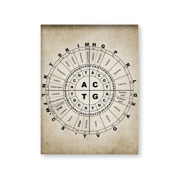 Dna En Rna Genetische Code Muur Art Prints Genetica Biochemie Student Vintage Wetenschap Retro Poster Kraftpapier: Blauw / 42x30cm No Frame