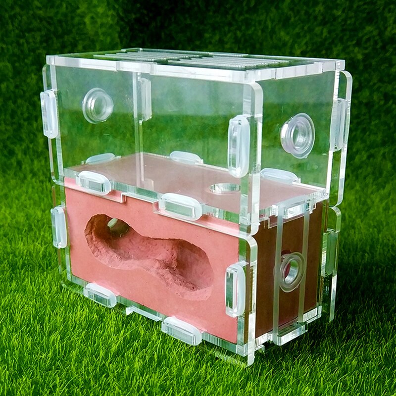 Square Acrylic Ant Plaster Nest Transparent Ant Farm Villa Insect Ornament Box: Red