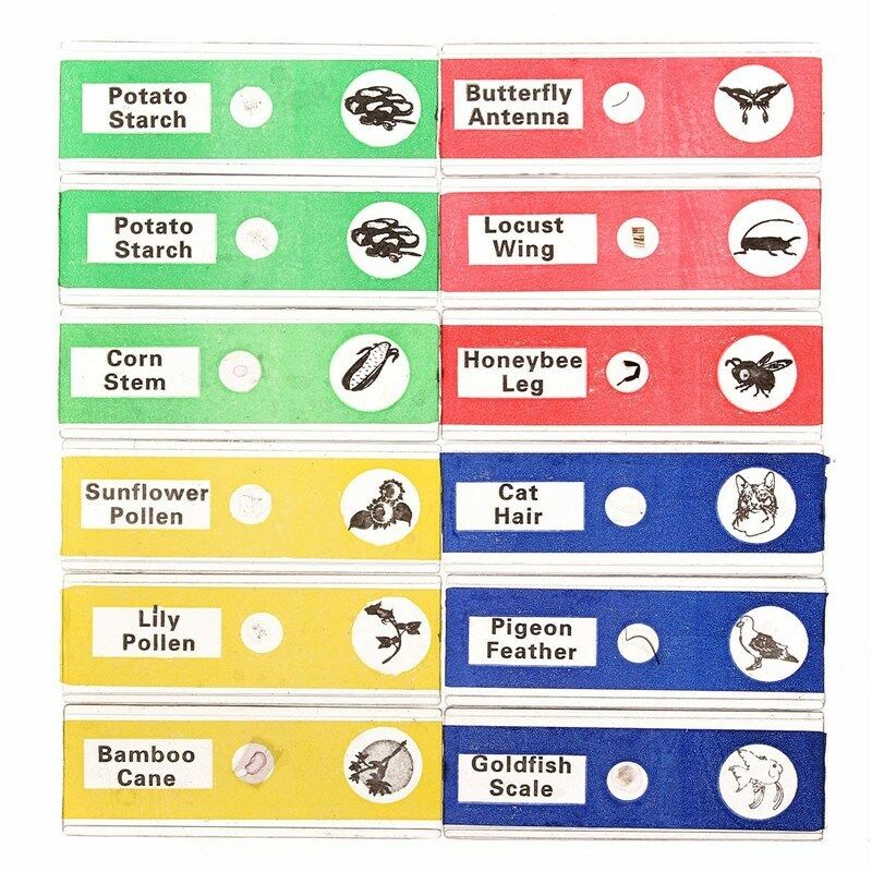 12/48Pcs/Set Prepared Microscope Slides Specimen Animals Insects Plants Flowers Sample: Mixing