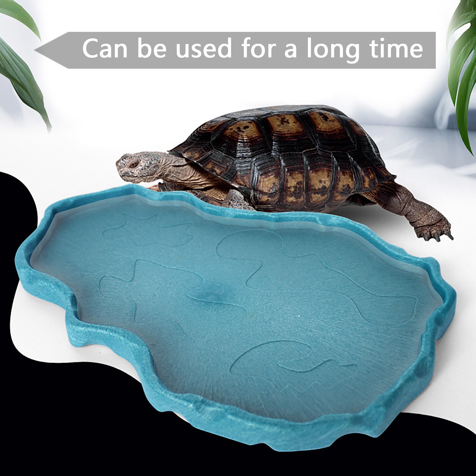 Pet Feeder Feeding Dish Lizards Gecko Reptile Bowl Basin Food Container Turtles Water Dispenser Drinking Supplies^