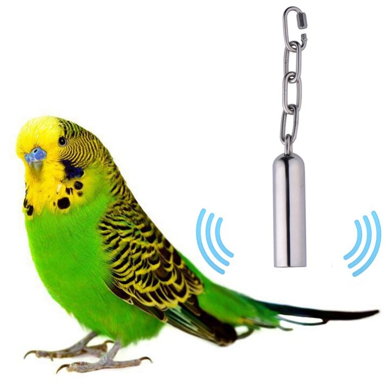 Roestvrij Staal Bell Speelgoed Voor Vogels, Zware Vogelkooi Speelgoed Voor Papegaaien, Afrikaanse Greys, mini Ara 'S, Kleine Kaketoes
