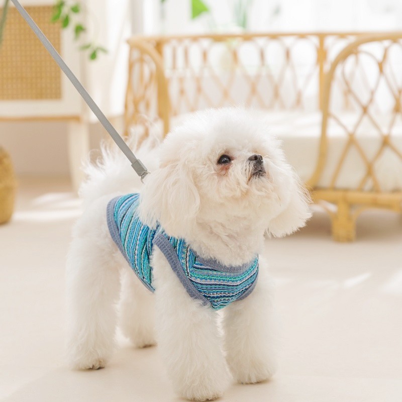 Koelvest voor honden Zomer hondenkleding Ademend mesh Kat T-shirt Chihuahua Bichon Kleding Hond Meisje Kostuum Dun puppyshirt