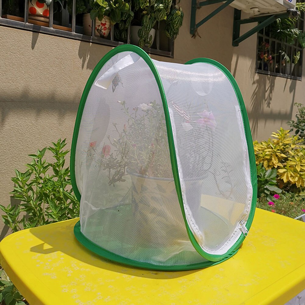 Filet d&#39;observation respirant pour animaux de compagnie, Cage à insectes, incubateur de semis, fermeture à glissière, enceinte pliable