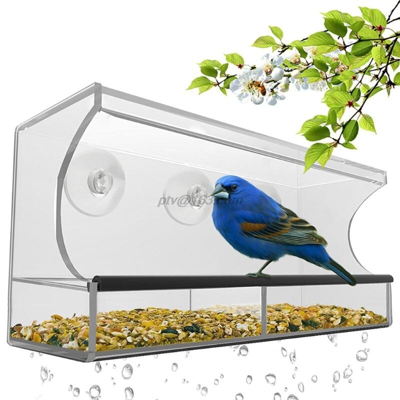 Window Bird Feeder - Refillable Sliding Tray - Weather Proof - Snow and Squirrel Resistant - Drains Rain Water: A