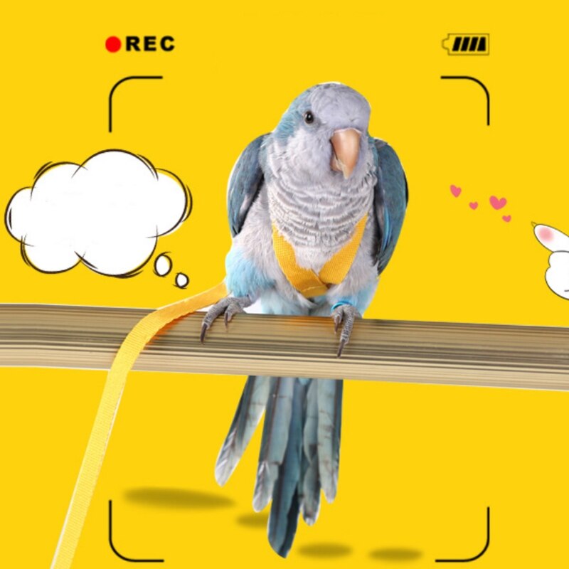 Cuerda de entrenamiento para loros voladores, kit de correa ajustable antimordedura para pájaros, con ala bonita, suministros de entrenamiento para loros y Mynah