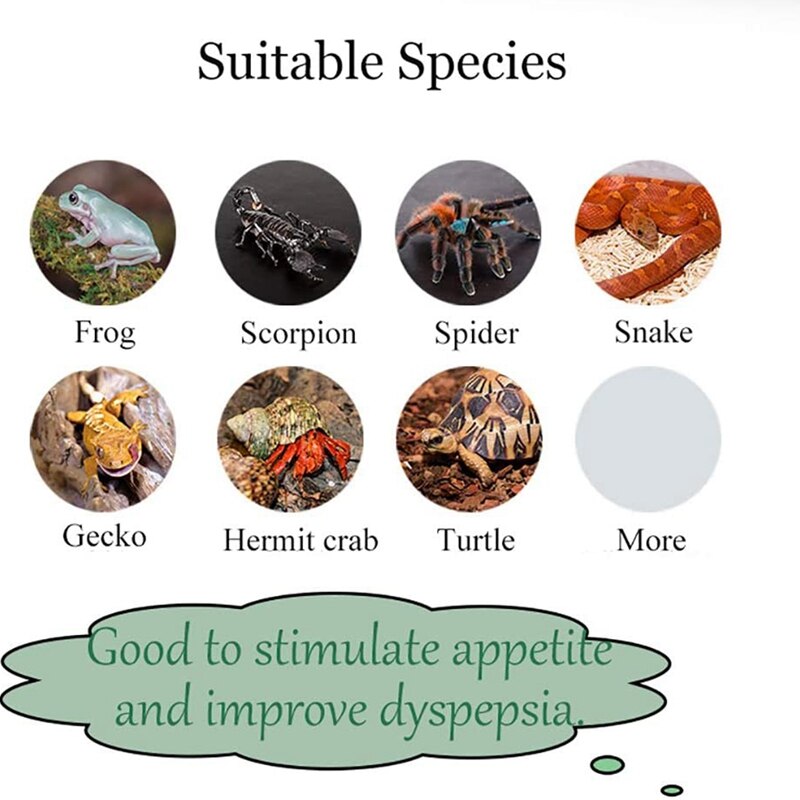 2 paczki 20W gadów poduszka elektryczna podgrzewacz zbiornika wody, poduszka elektryczna robić zbiornika wody gadów Gl podgrzewacz wtyczka amerykańska