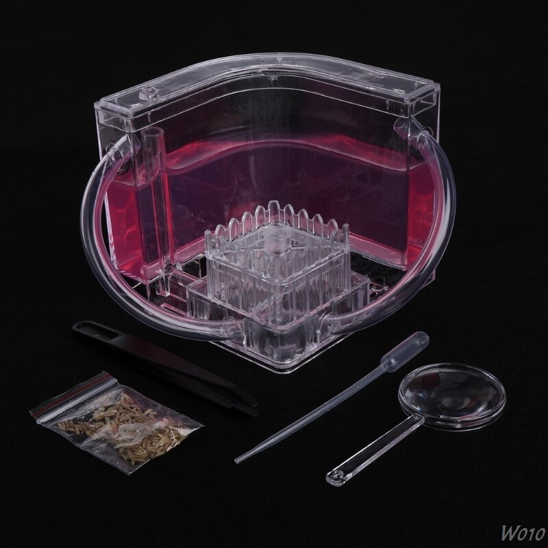 3D Ant Farm Educational Maze Live Feeding System Ants Habitat World Pet Villa