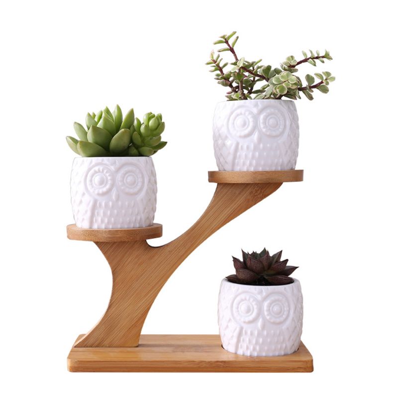 Leuke Uil Pot Sappige Cactus Planter Bloempot Set Met Bamboe Plank Lade Decor Y5LE