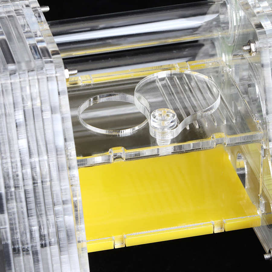 Ant Feeding Box Acrylic Transparent Ant Living Nest Ant Housing Nest Box Farm Insect Moisturizing Case Housing Home With