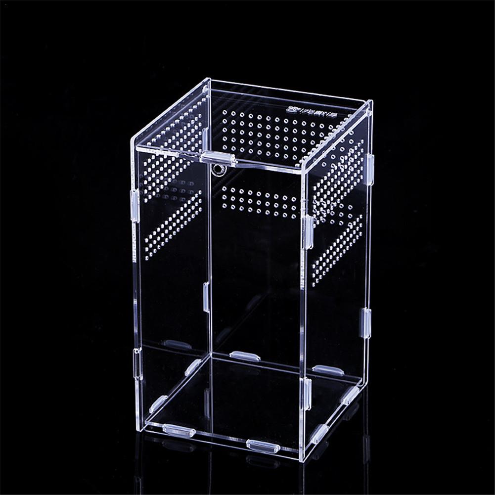 Akryl krybdyr fodring kasse insekt firben edderkop opdræt bur ruge container: 12 x 12 x 20cm