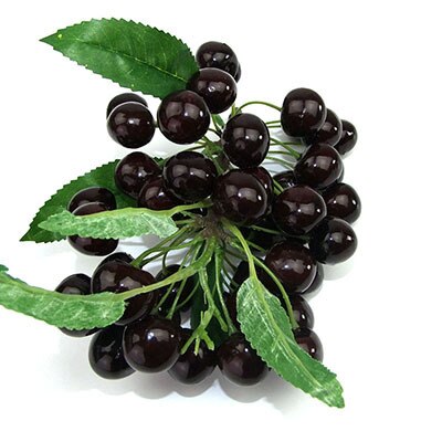 Simulated Fruit String Foam Longan, Longan, Lychee, Blueberry, Cheli, False Fruit Props Shooting Props