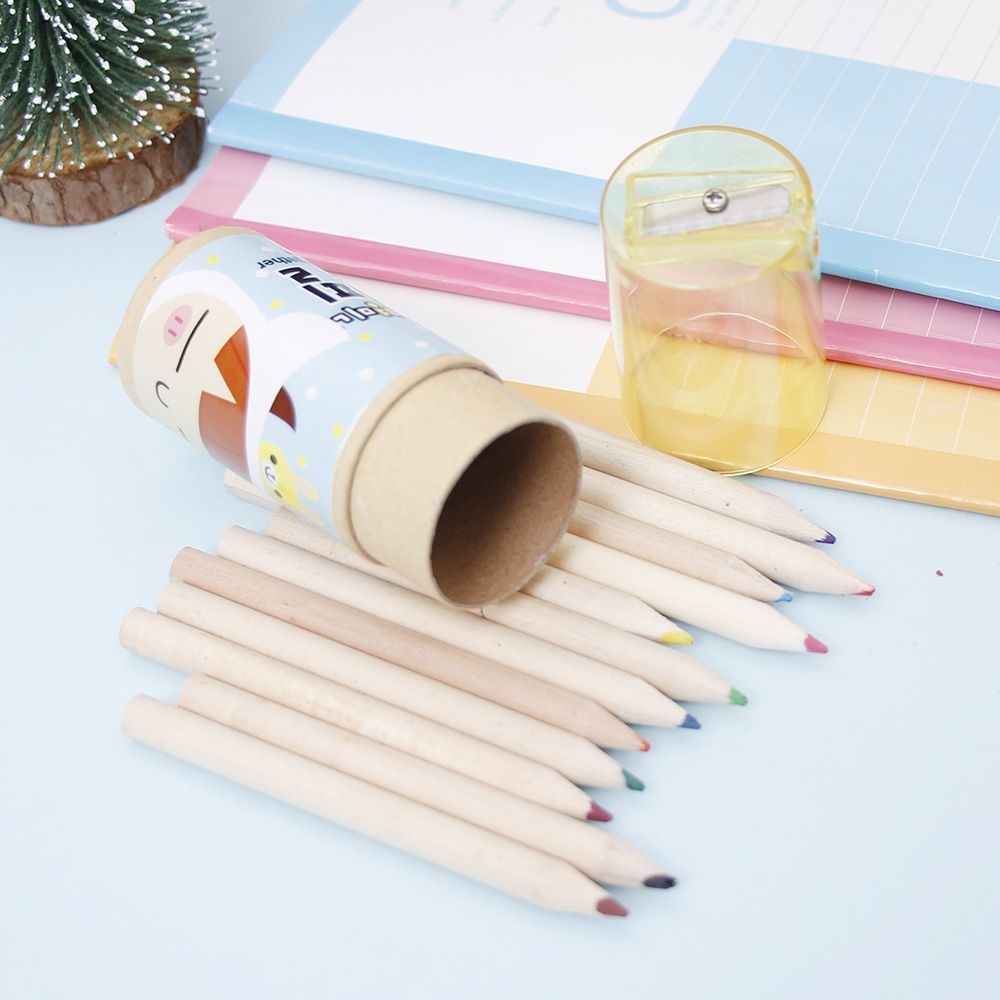 12 Colors Set Artist Fine Drawing Painting Sketching Writing Drawing Pencil Box Cases MIni Stationary