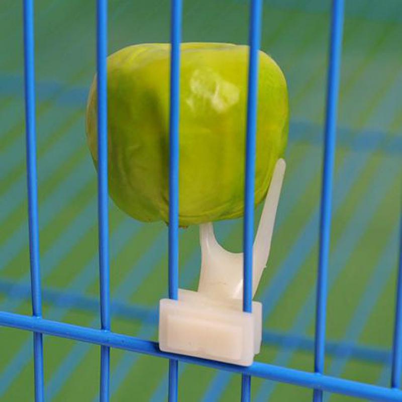 Vogels Fruit Feeder Papegaaien Fruit Vork Geplakt Op De Kooi Plastic Voedsel Houder Voeden Op Kooi Dierbenodigdheden
