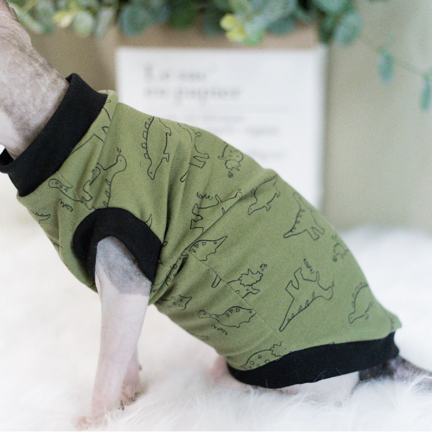 sphynx cat clothes Cat Clothes Spring Summer Cat Apparel Hairless Cat Outfits kitten sphynx clothes