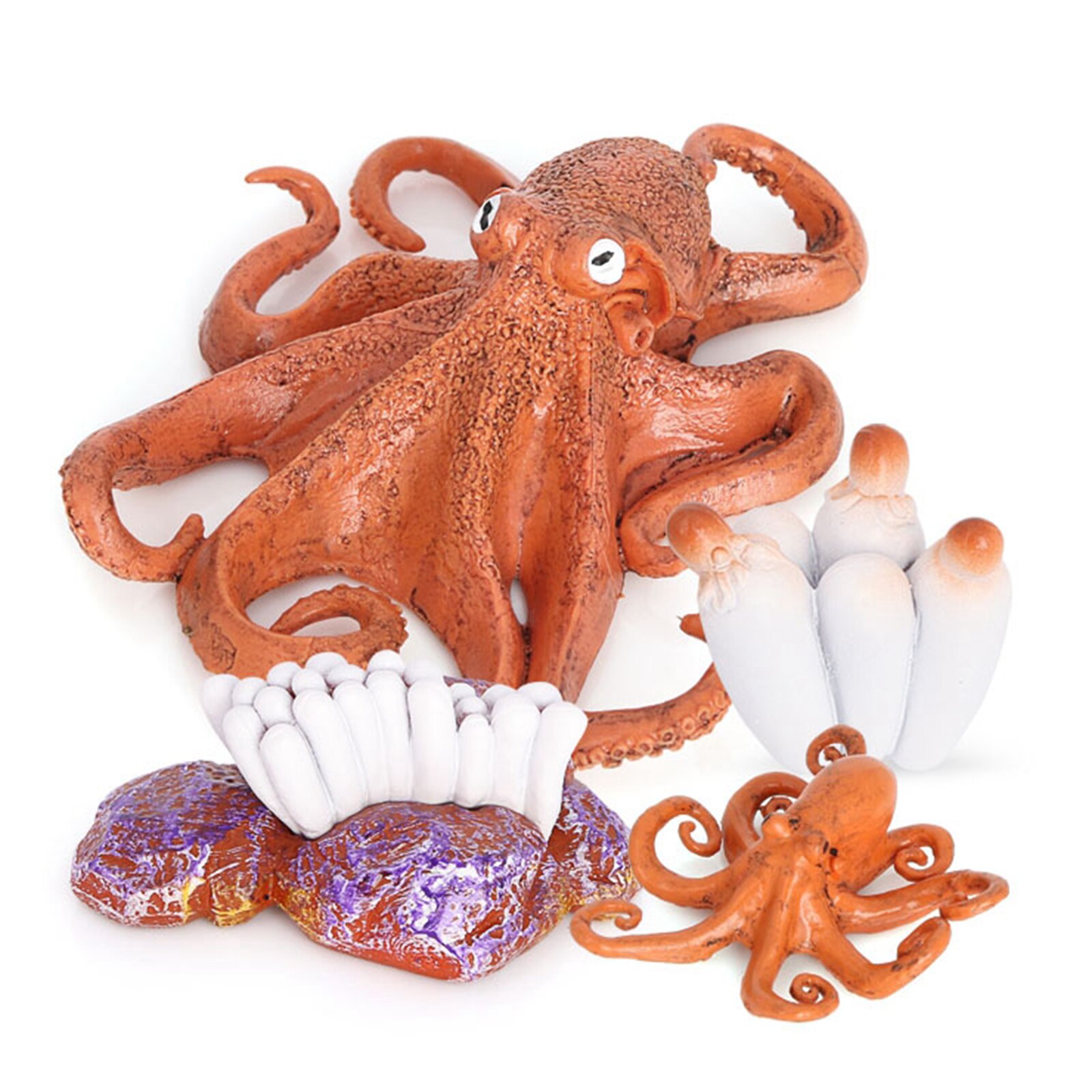 4 Stages Life Cycle of Octopus Nature Insects Life Cycles Growth Model Game Prop Insect Animal Natural Toy