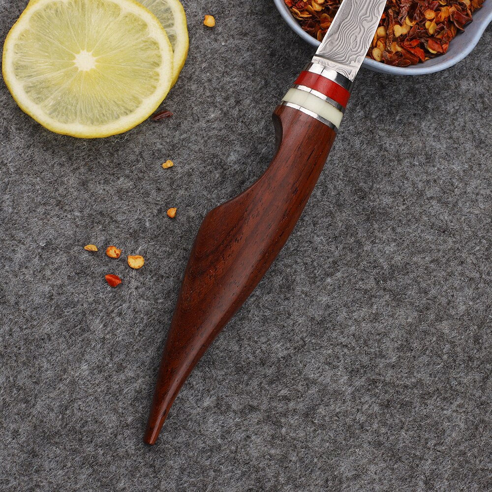 Handmade Chef VG10 Damascus Steel Plate Multifunctional Kitchen Carving