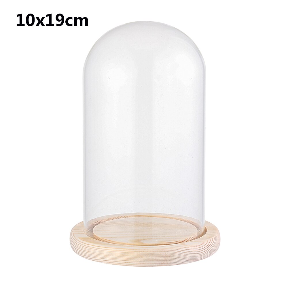 1Pcs Sferische Glas Cloche Jar Display Stand Cover Terrarium Fles Met Houten Base Acryl Stofkap Display Box Bloem doos: 10x19cm with base