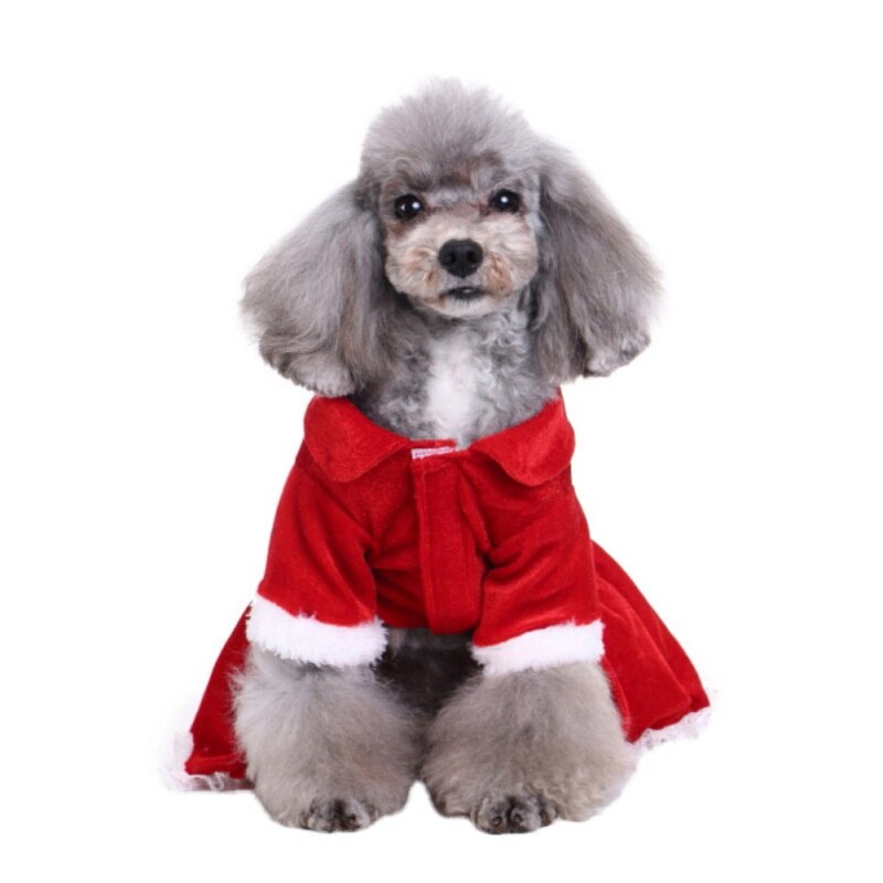 Vinter varm julekjole dejlig rød sløjfe hvalpe nederdel kæledyr hund blonder bomuld jule hund kostume yorkie chihuahua kattetøj