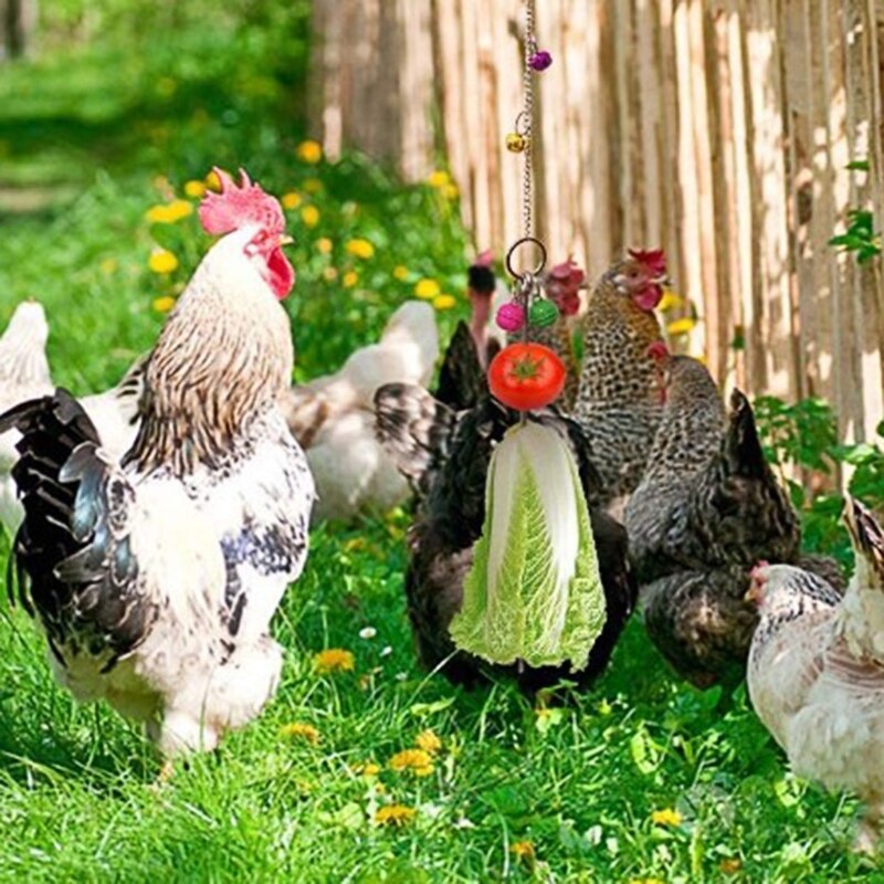 Stainless Steel Bird Hanging Food Holder Parrot Fruit Vegetable Feeder Chain Meat Skewer Foraging Toys for Parrot Parakeet Hens