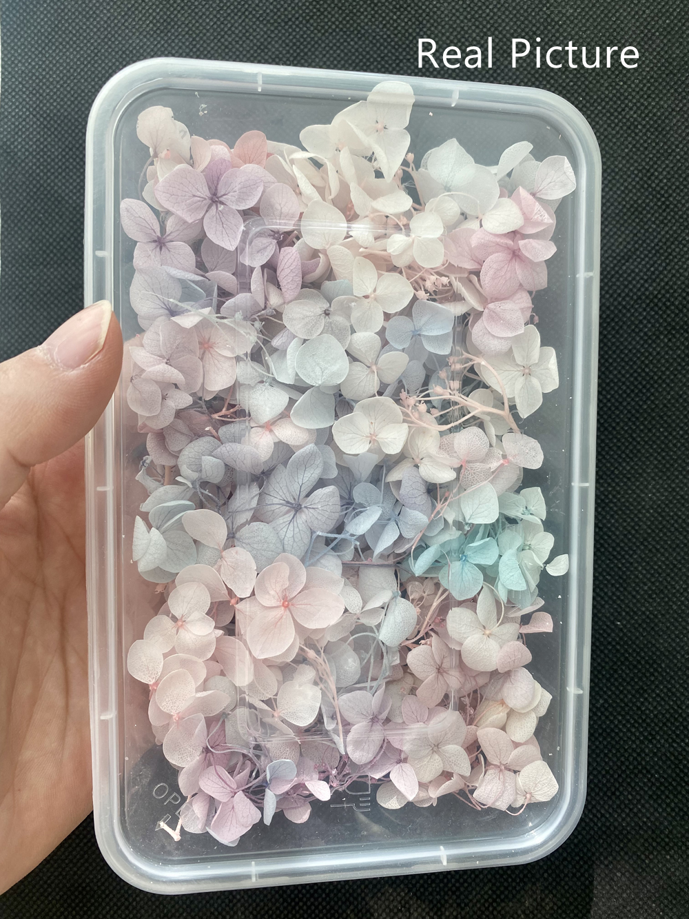 Décalcomanies de fleurs séchées 3D pour Nail Art, autocollants floraux naturels, conceptions de fleurs sèches pour N64.Crafts, accessoires de manucure bricolage